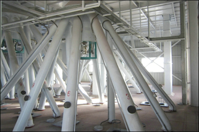 飼料機(jī)器設(shè)備為現(xiàn)代養(yǎng)殖業(yè)的發(fā)展注入了新動(dòng)力